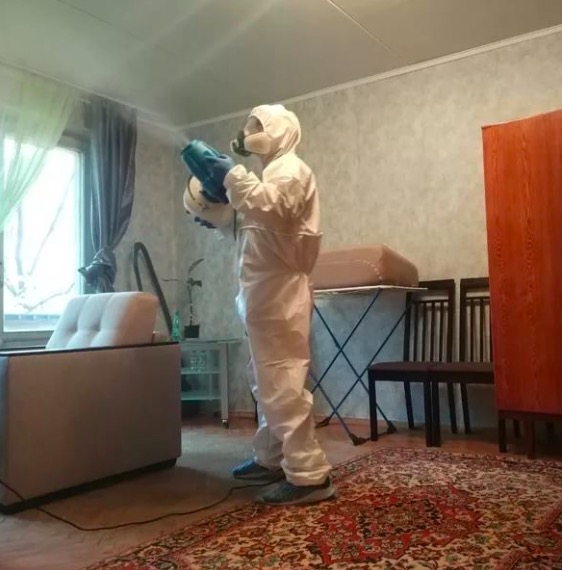 дезинсекция квартиры в Лихославле